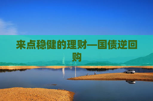 来点稳健的理财—国债逆回购