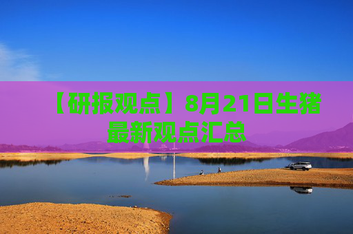 【研报观点】8月21日生猪最新观点汇总