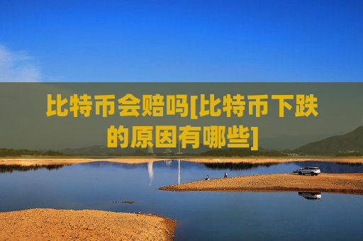 比特币会赔吗[比特币下跌的原因有哪些]