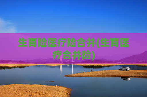 生育险医疗险合并(生育医疗合并险)