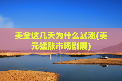 美金这几天为什么暴涨(美元猛涨市场剧震)