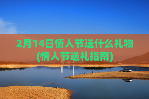2月14日情人节送什么礼物(情人节送礼指南)