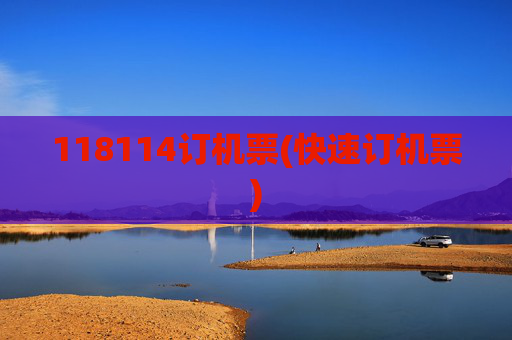 118114订机票(快速订机票)