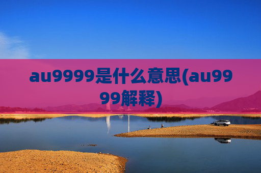 au9999是什么意思(au9999解释)