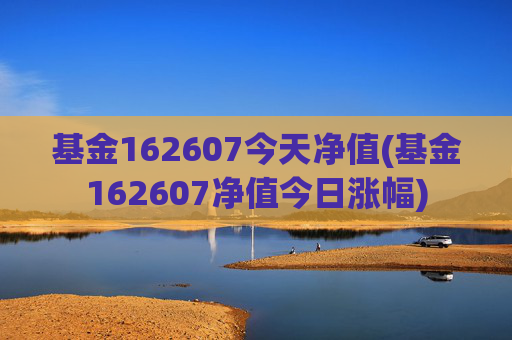 基金162607今天净值(基金162607净值今日涨幅)