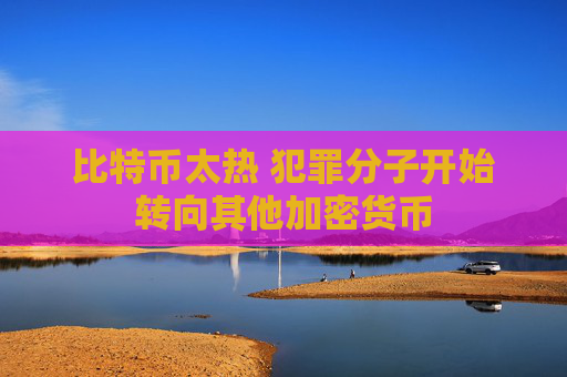 比特币太热 犯罪分子开始转向其他加密货币