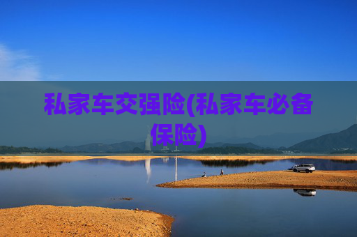 私家车交强险(私家车必备保险)