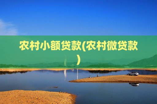 农村小额贷款(农村微贷款)