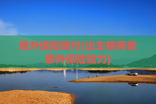 意外保险赔付(出车祸有救意外保险给力)