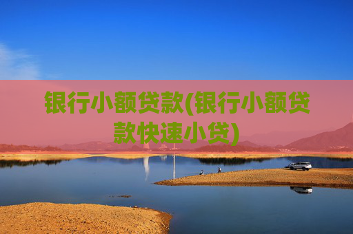 银行小额贷款(银行小额贷款快速小贷)