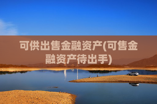 可供出售金融资产(可售金融资产待出手)