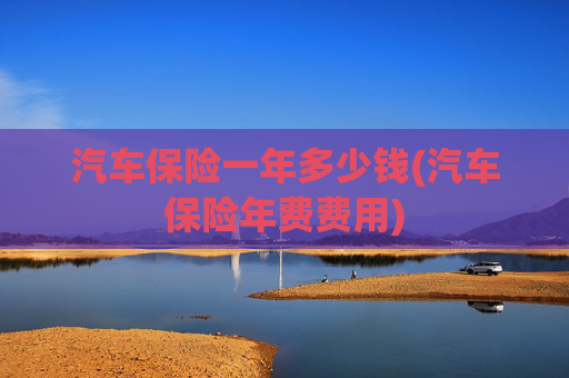 汽车保险一年多少钱(汽车保险年费费用)