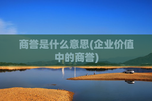商誉是什么意思(企业价值中的商誉)
