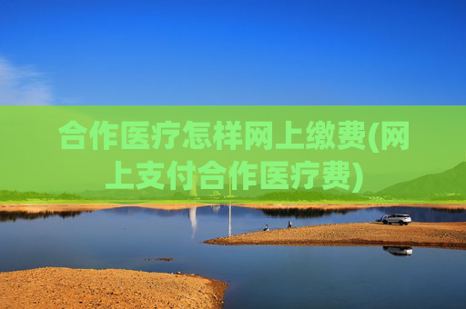 合作医疗怎样网上缴费(网上支付合作医疗费)