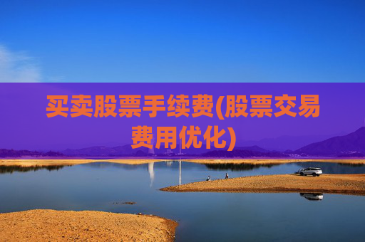 买卖股票手续费(股票交易费用优化)