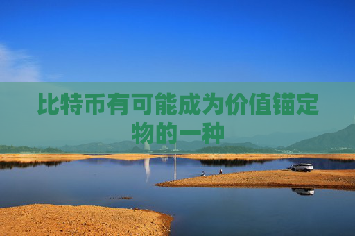 比特币有可能成为价值锚定物的一种
