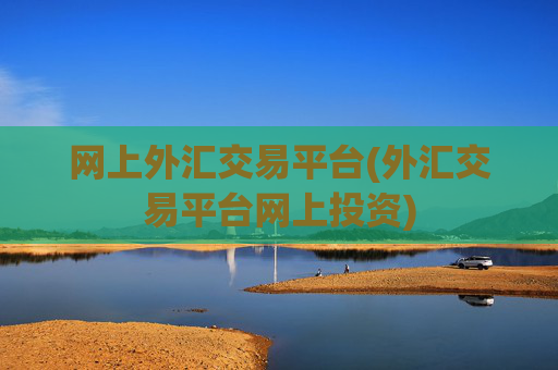 网上外汇交易平台(外汇交易平台网上投资)
