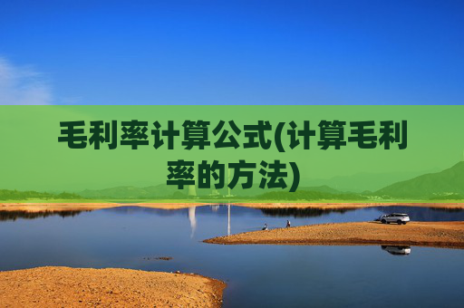 毛利率计算公式(计算毛利率的方法)