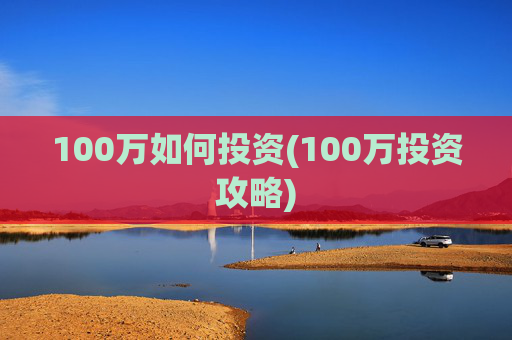 100万如何投资(100万投资攻略)