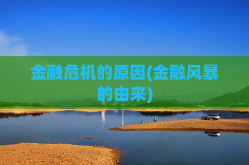 金融危机的原因(金融风暴的由来)