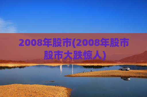 2008年股市(2008年股市 股市大跌惊人)