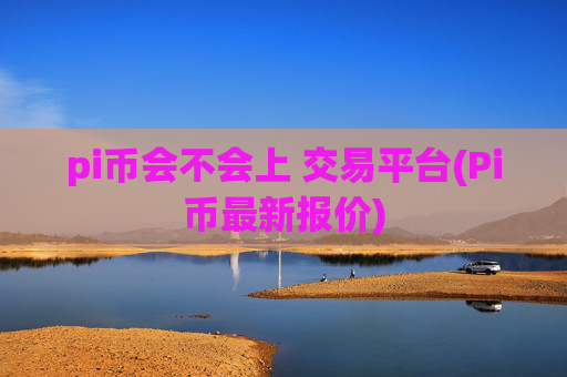 pi币会不会上 交易平台(Pi币最新报价)
