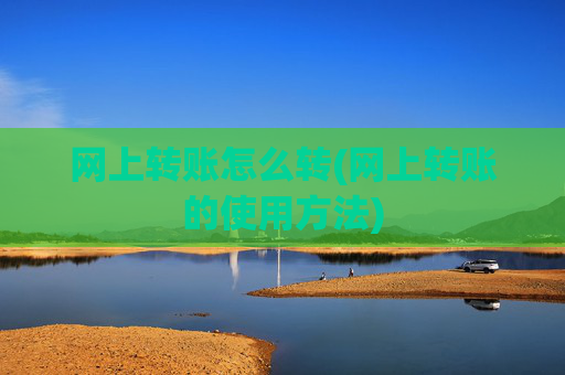 网上转账怎么转(网上转账的使用方法)