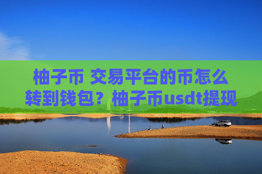 柚子币 交易平台的币怎么转到钱包？柚子币usdt提现转账操作指南 柚子币官方下载