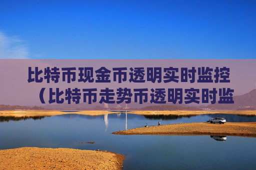 比特币现金币透明实时监控（比特币走势币透明实时监控）