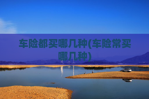 车险都买哪几种(车险常买哪几种)
