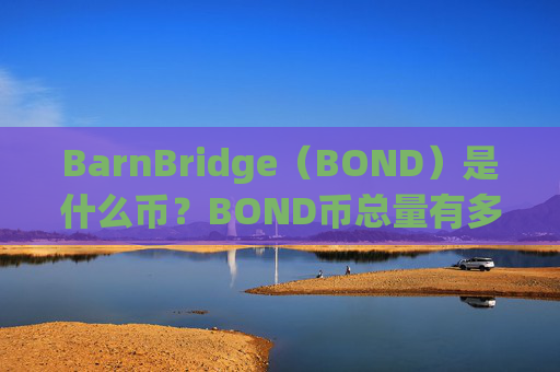 BarnBridge（BOND）是什么币？BOND币总量有多少？
