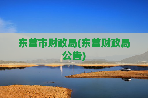 东营市财政局(东营财政局公告)