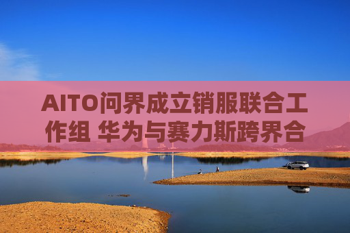 AITO问界成立销服联合工作组 华为与赛力斯跨界合作再深化