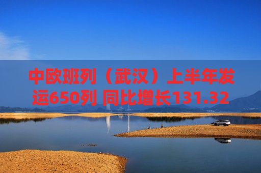 中欧班列（武汉）上半年发运650列 同比增长131.32%