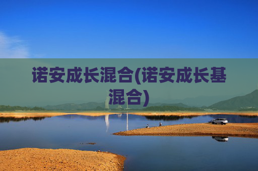 诺安成长混合(诺安成长基混合)
