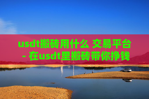 usdt搬砖用什么 交易平台 - 在usdt里搬砖带你挣钱