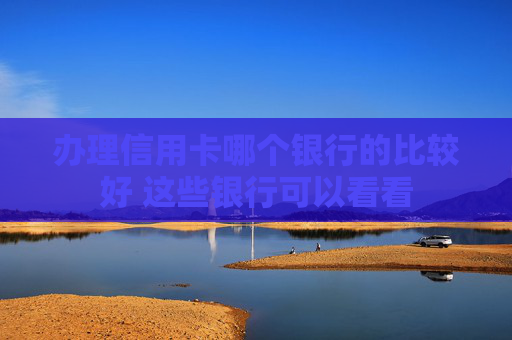 办理信用卡哪个银行的比较好 这些银行可以看看