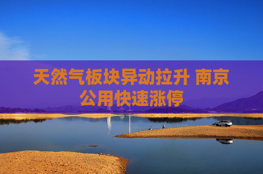 天然气板块异动拉升 南京公用快速涨停