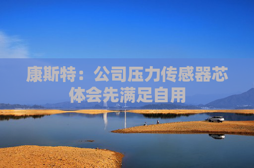 康斯特：公司压力传感器芯体会先满足自用