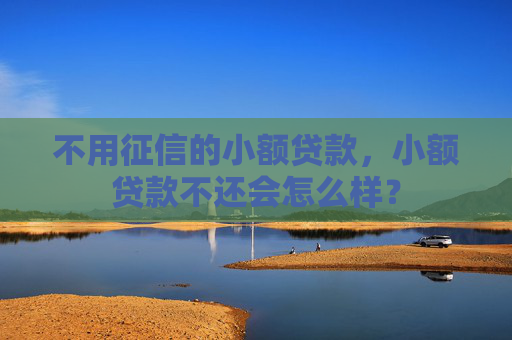 不用征信的小额贷款，小额贷款不还会怎么样？