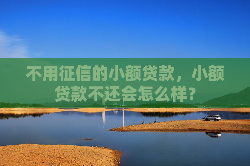不用征信的小额贷款，小额贷款不还会怎么样？