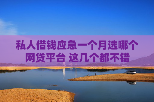 私人借钱应急一个月选哪个网贷平台 这几个都不错