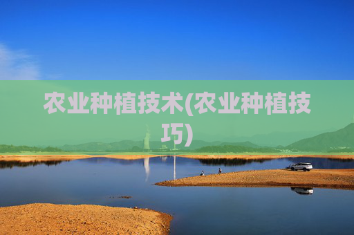 农业种植技术(农业种植技巧)