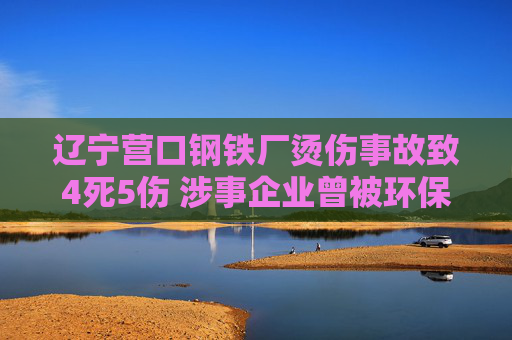 辽宁营口钢铁厂烫伤事故致4死5伤 涉事企业曾被环保处罚47次