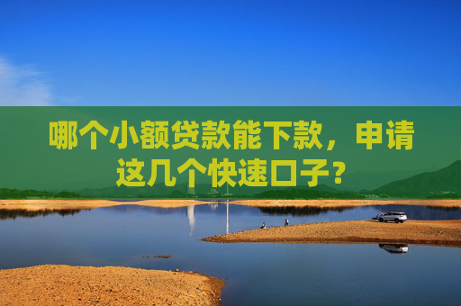 哪个小额贷款能下款，申请这几个快速口子？