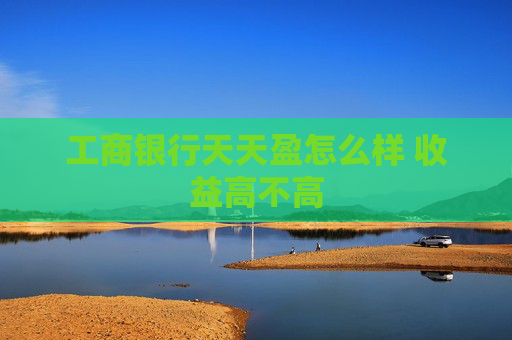 工商银行天天盈怎么样 收益高不高