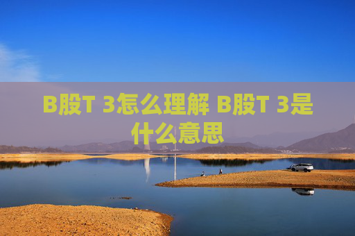 B股T 3怎么理解 B股T 3是什么意思