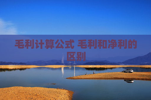 毛利计算公式 毛利和净利的区别
