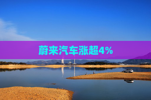 蔚来汽车涨超4%