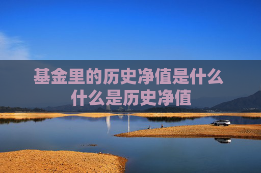 基金里的历史净值是什么 什么是历史净值